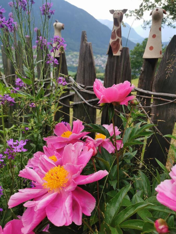 Wieserhof Tirol 厄茨 外观 照片